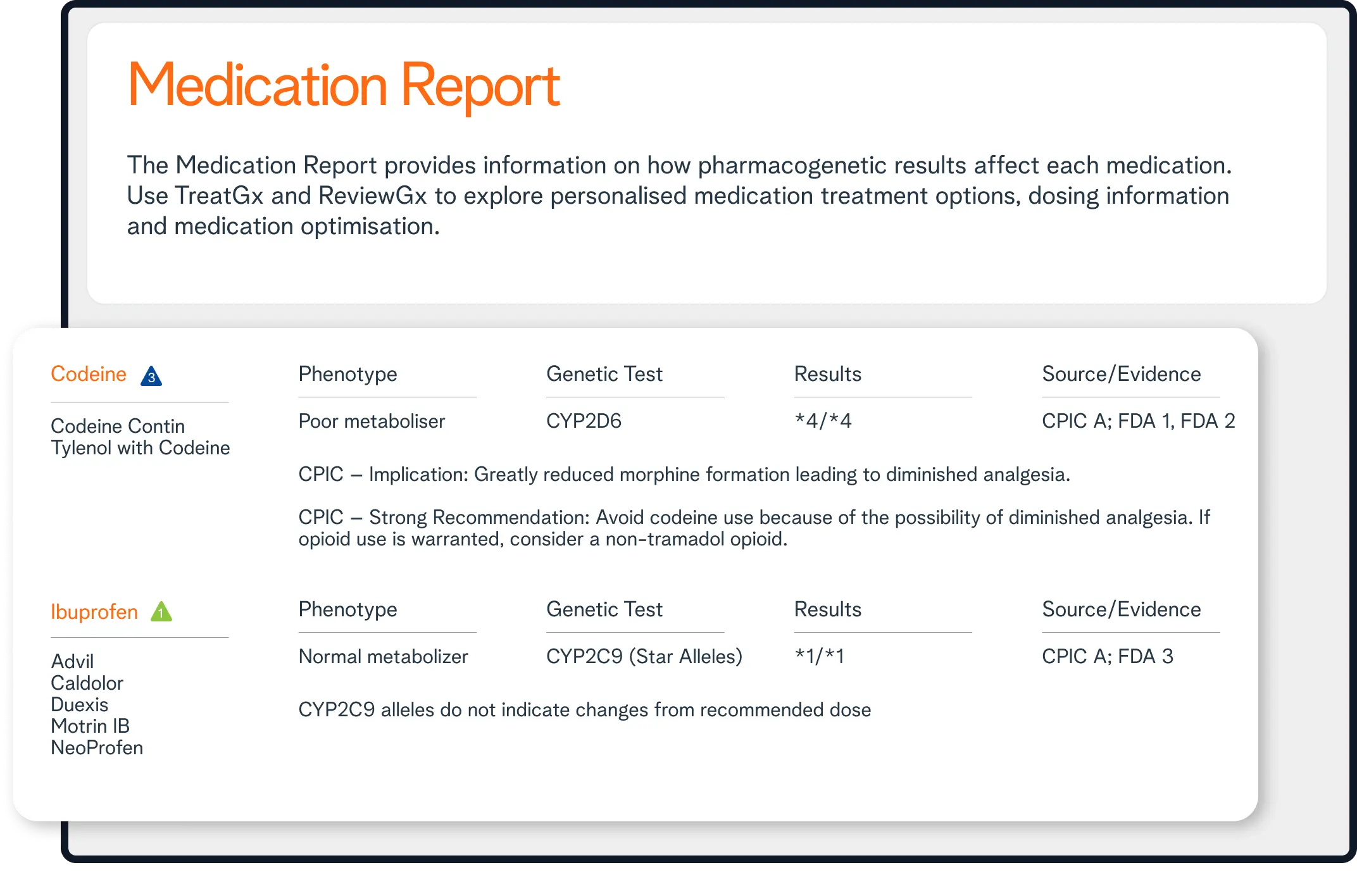 Example Report